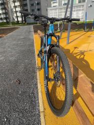 IMG_7716.jpeg