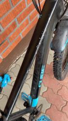 IMG_8202.jpeg