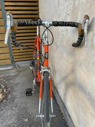 IMG_8203.jpeg
