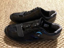 IMG_8339.jpeg