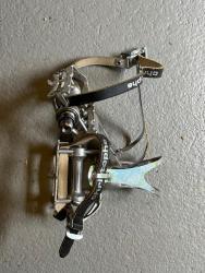 IMG_9106.jpeg