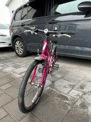 IMG_0131.jpeg