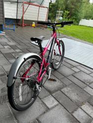 IMG_0133.jpeg