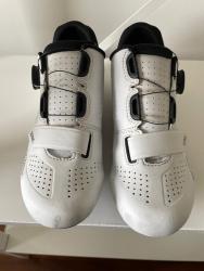 IMG_1003.jpeg