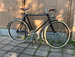 IMG_1255.jpeg