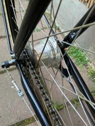 IMG_1256.jpeg