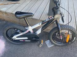 IMG_1266.jpeg