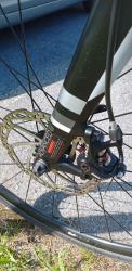 IMG_20240713_154607_3~2.jpg
