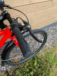 IMG_2074.jpeg