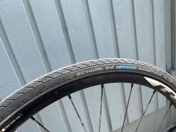 IMG_2152.jpeg