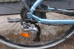 IMG_2962.jpeg
