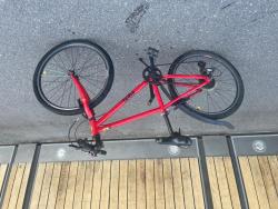 IMG_4953.jpeg