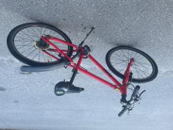 IMG_4954.jpeg