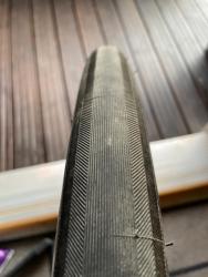 IMG_6308.jpeg