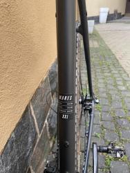 IMG_6403.jpeg