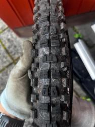 IMG_7053.jpeg