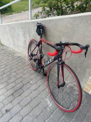 IMG_7239.jpeg