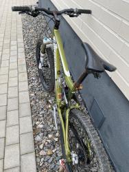 IMG_7558.jpeg