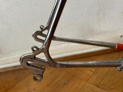 IMG_8506.jpeg