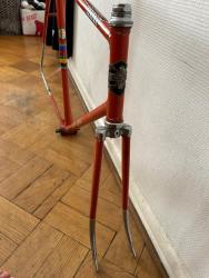 IMG_8508.jpeg