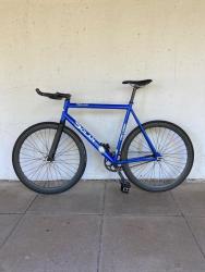 IMG_8532.jpeg