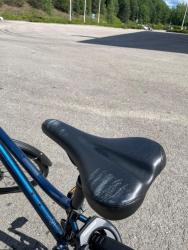 IMG_8682.jpeg