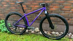 surly1.jpg