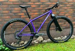 surly2.jpg