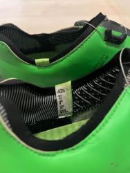 IMG_0919.jpeg
