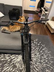 IMG_0963.jpeg
