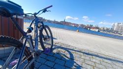 IMG_20240427_144949.jpg