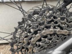 IMG_2105.jpeg
