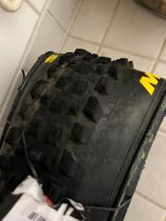 IMG_2122.jpeg