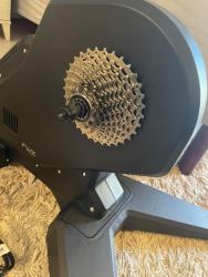 IMG_3913.jpeg