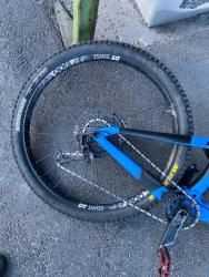 IMG_6171.jpeg
