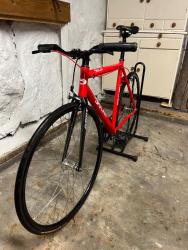 IMG_6882.jpeg