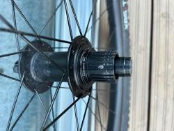 IMG_7162.jpeg
