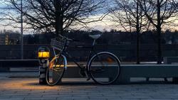 IMG_7632.jpeg