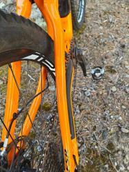 Stumpjumper_Dent.jpg