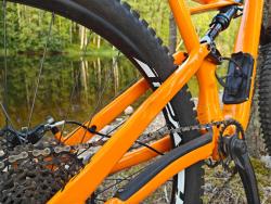 Stumpjumper_Dent2.jpg