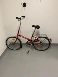IMG_0461.jpeg