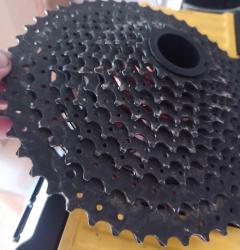 IMG_20240907_161429_117_Original.jpeg