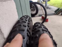 IMG_20240928_122904082.jpg