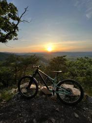 IMG_2065.jpeg