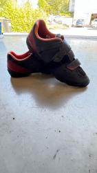 IMG_2142.jpeg