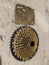 IMG_5181.jpeg