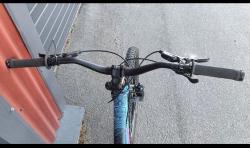 IMG_5410.jpeg