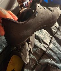 IMG_5916.jpeg