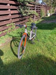 IMG_6444.jpeg