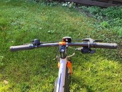 IMG_6447.jpeg